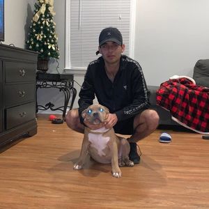 Meet your Posher, Oscar